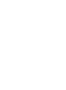 https://d1w8c6s6gmwlek.cloudfront.net/stpatricksdaytee.com/overlays/132/227/1322270.png img