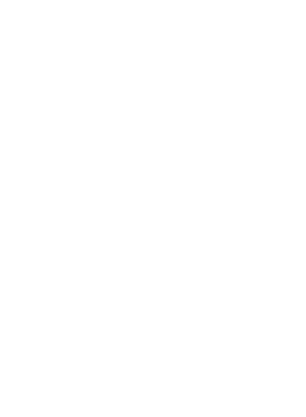 https://d1w8c6s6gmwlek.cloudfront.net/stpatricksdaytee.com/overlays/132/249/1322494.png img