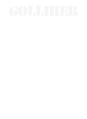 https://d1w8c6s6gmwlek.cloudfront.net/stpatricksdaytee.com/overlays/132/278/1322788.png img