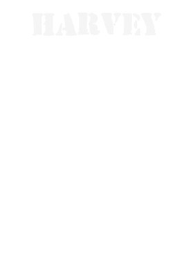 https://d1w8c6s6gmwlek.cloudfront.net/stpatricksdaytee.com/overlays/132/308/1323085.png img