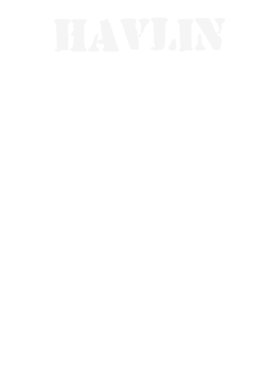 https://d1w8c6s6gmwlek.cloudfront.net/stpatricksdaytee.com/overlays/132/311/1323113.png img