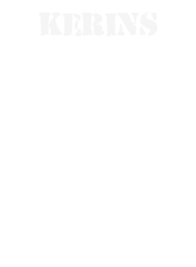 https://d1w8c6s6gmwlek.cloudfront.net/stpatricksdaytee.com/overlays/132/356/1323569.png img