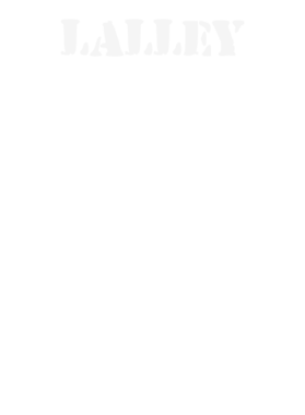 https://d1w8c6s6gmwlek.cloudfront.net/stpatricksdaytee.com/overlays/132/375/1323751.png img