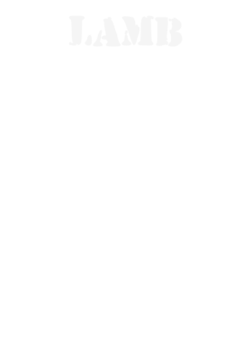 image overlay
