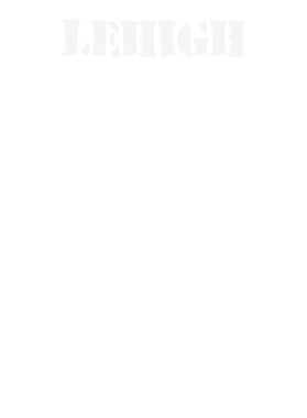 https://d1w8c6s6gmwlek.cloudfront.net/stpatricksdaytee.com/overlays/132/385/1323858.png img