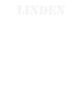 https://d1w8c6s6gmwlek.cloudfront.net/stpatricksdaytee.com/overlays/132/390/1323904.png img