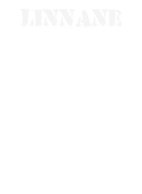 https://d1w8c6s6gmwlek.cloudfront.net/stpatricksdaytee.com/overlays/132/391/1323912.png img