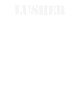 https://d1w8c6s6gmwlek.cloudfront.net/stpatricksdaytee.com/overlays/132/402/1324024.png img