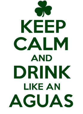 https://d1w8c6s6gmwlek.cloudfront.net/stpatricksdaytee.com/overlays/727/912/7279121.png img