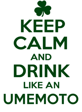 https://d1w8c6s6gmwlek.cloudfront.net/stpatricksdaytee.com/overlays/731/311/7313110.png img