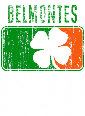 https://d1w8c6s6gmwlek.cloudfront.net/stpatricksdaytee.com/overlays/731/373/7313738.png img