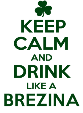 https://d1w8c6s6gmwlek.cloudfront.net/stpatricksdaytee.com/overlays/731/499/7314992.png img