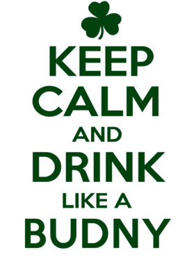 https://d1w8c6s6gmwlek.cloudfront.net/stpatricksdaytee.com/overlays/732/040/7320409.png img