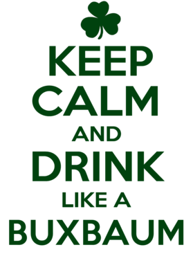 https://d1w8c6s6gmwlek.cloudfront.net/stpatricksdaytee.com/overlays/732/389/7323890.png img