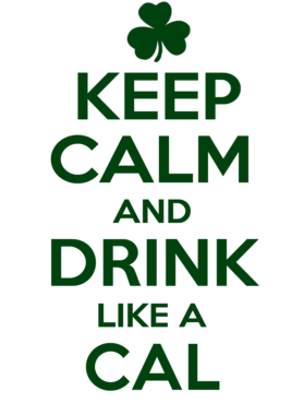 https://d1w8c6s6gmwlek.cloudfront.net/stpatricksdaytee.com/overlays/732/505/7325055.png img