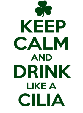 https://d1w8c6s6gmwlek.cloudfront.net/stpatricksdaytee.com/overlays/733/524/7335241.png img