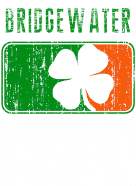 https://d1w8c6s6gmwlek.cloudfront.net/stpatricksdaytee.com/overlays/733/670/7336700.png img