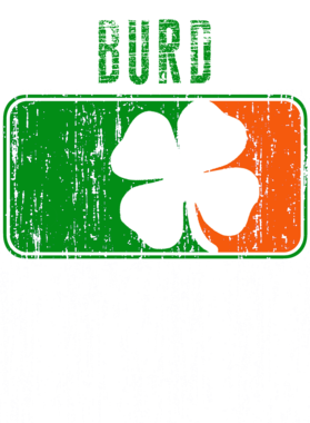 https://d1w8c6s6gmwlek.cloudfront.net/stpatricksdaytee.com/overlays/734/216/7342160.png img