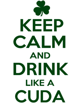 https://d1w8c6s6gmwlek.cloudfront.net/stpatricksdaytee.com/overlays/734/350/7343506.png img