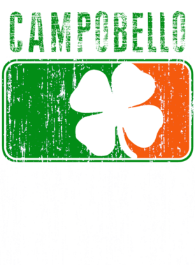 https://d1w8c6s6gmwlek.cloudfront.net/stpatricksdaytee.com/overlays/734/573/7345737.png img