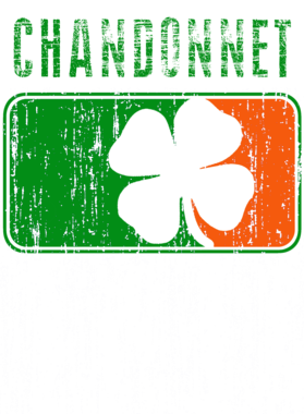 https://d1w8c6s6gmwlek.cloudfront.net/stpatricksdaytee.com/overlays/735/082/7350826.png img