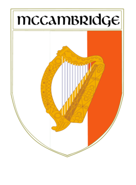 https://d1w8c6s6gmwlek.cloudfront.net/stpatricksdaytee.com/overlays/735/443/7354430.png img