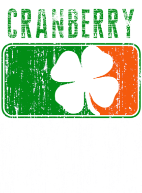 https://d1w8c6s6gmwlek.cloudfront.net/stpatricksdaytee.com/overlays/736/390/7363906.png img