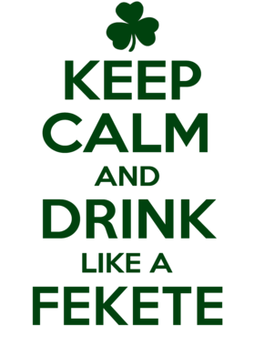 https://d1w8c6s6gmwlek.cloudfront.net/stpatricksdaytee.com/overlays/737/314/7373144.png img