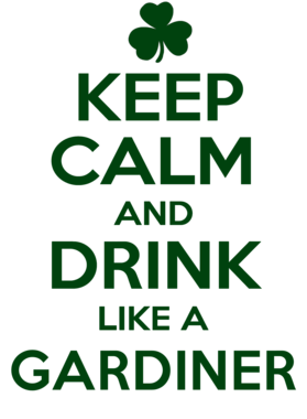 https://d1w8c6s6gmwlek.cloudfront.net/stpatricksdaytee.com/overlays/738/637/7386373.png img