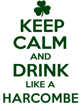 https://d1w8c6s6gmwlek.cloudfront.net/stpatricksdaytee.com/overlays/740/738/7407384.png img