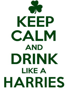 https://d1w8c6s6gmwlek.cloudfront.net/stpatricksdaytee.com/overlays/740/833/7408333.png img