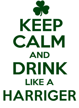 https://d1w8c6s6gmwlek.cloudfront.net/stpatricksdaytee.com/overlays/740/834/7408342.png img