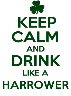 https://d1w8c6s6gmwlek.cloudfront.net/stpatricksdaytee.com/overlays/740/842/7408427.png img