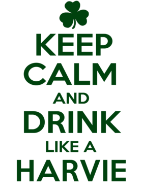 https://d1w8c6s6gmwlek.cloudfront.net/stpatricksdaytee.com/overlays/740/886/7408864.png img