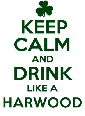 https://d1w8c6s6gmwlek.cloudfront.net/stpatricksdaytee.com/overlays/740/888/7408887.png img