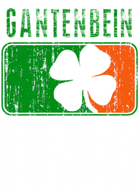 https://d1w8c6s6gmwlek.cloudfront.net/stpatricksdaytee.com/overlays/741/036/7410368.png img
