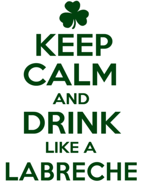 https://d1w8c6s6gmwlek.cloudfront.net/stpatricksdaytee.com/overlays/747/134/7471344.png img