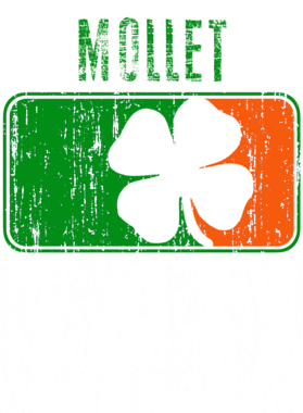 https://d1w8c6s6gmwlek.cloudfront.net/stpatricksdaytee.com/overlays/752/163/7521637.png img