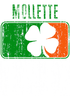https://d1w8c6s6gmwlek.cloudfront.net/stpatricksdaytee.com/overlays/752/165/7521653.png img