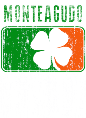 https://d1w8c6s6gmwlek.cloudfront.net/stpatricksdaytee.com/overlays/752/258/7522587.png img