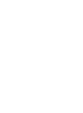https://d1w8c6s6gmwlek.cloudfront.net/stpatricksdaytee.com/overlays/788/752/7887520.png img