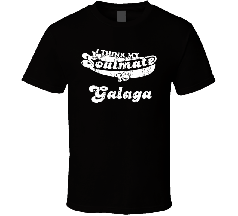 I Think My Soulmate Is Galaga Best Video Game Worn Look T Shirt