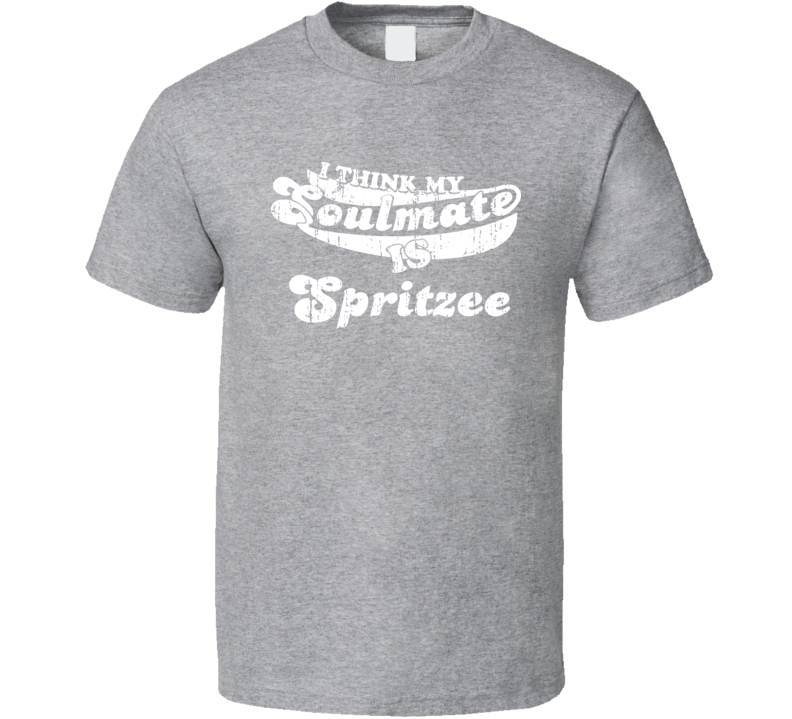 I Think My Soulmate Is Spritzee Best Pokemon Worn Look T Shirt I Think My Soulmate Is Spritzee Best Pokemon Worn Look T Shirt