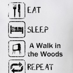 A Walk In The Woods Adventure Great Movie Poster Fan T Shirt 10512500