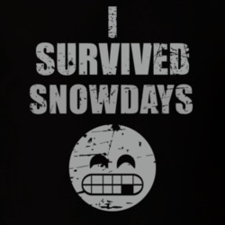 I Survived Banff Snowdays Party Worn Look Festival Cool Fun T Shirt 18957082