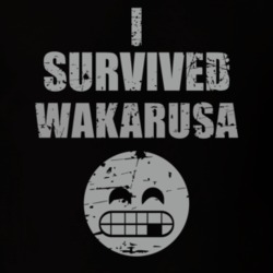 I Survived Ozark National Forest Wakarusa Cool Party Worn Look T Shirt 18957088