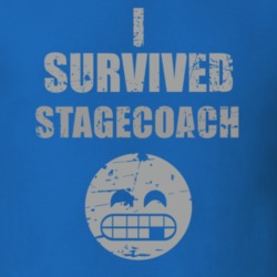 I Survived Indio Stagecoach Cool Funny Party Worn Look T Shirt 18957108