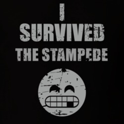 I Survived Calgary Stampede Festival Cool Canadian Funny Party Worn Look T Shirt 18957115