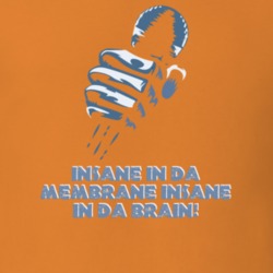 Cypress Hill Insane In The Brain Top 90s Rap Hip-Hop Lyrics T Shirt 19487946