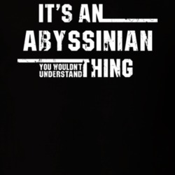 Abyssinian Wouldn't Understand Animal Worn Look T Shirt 21017790